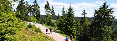 Rennsteig Thueringer Wald